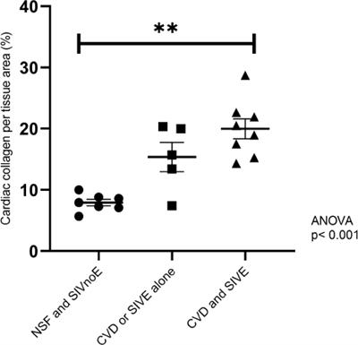 Simian immunodeficiency virus-infected rhesus macaques with AIDS co-develop cardiovascular pathology and encephalitis